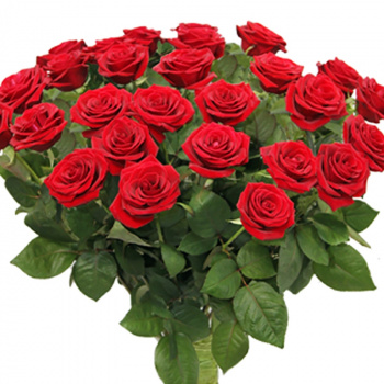 Букет из 35 красных роз